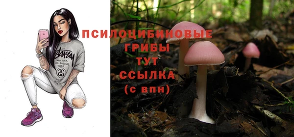 таблы Аркадак