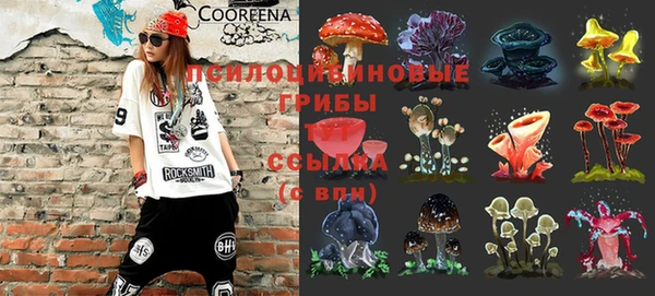 молекула духа Армянск
