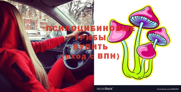 молекула духа Армянск
