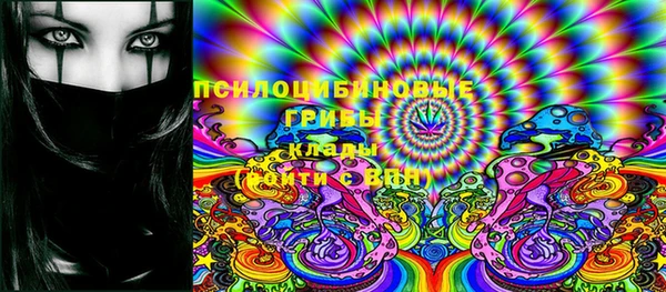 молекула духа Армянск